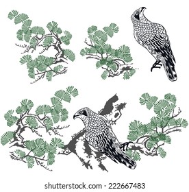 hawk and pine
