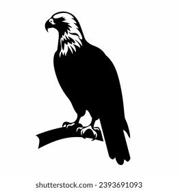 Hawk silhouette. Hawk black icon on white background