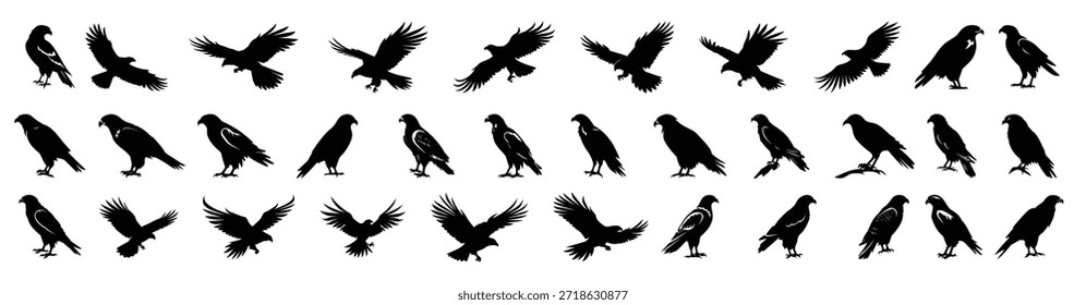 Ilustración vectorial de Paquete Clipart de silueta de halcón