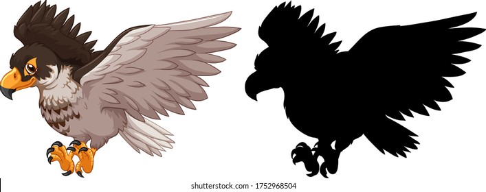 Hawk and its silhouette illustration