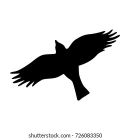Hawk silhouette. Vector illustration.