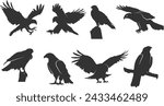 Hawk silhouettes, Flying hawk silhouettes, Tribal hawk silhouette, Hawk vector illustration