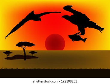 Hawk in the sky at sunset.vector