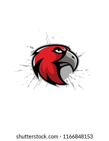 Hawk Sport Logo Vector