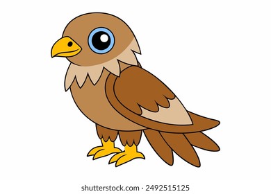 A Hawk vector art illustration
