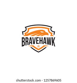 hawk vector ilustration