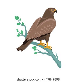 Hawk vector. Predatory birds wildlife concept in flat style design. World fauna illustration for prints, posters, childrens books illustrating. Beautiful hawk seating on brunch isolated on white.