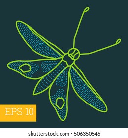 hawk-moth linear vector illustration. insect outline icon.