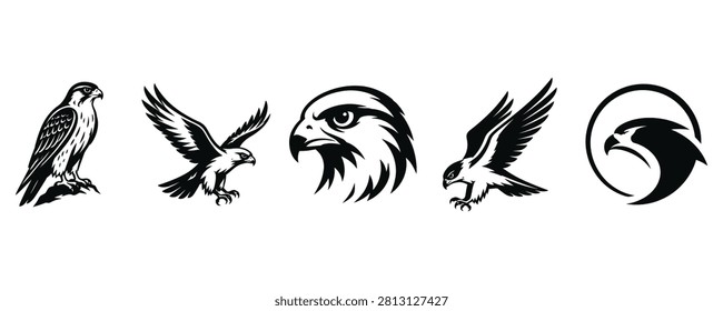 Hawks and Eagles in Various Artistic Styles and Poses, Black and White Illustrations Featuring Hawk, Eagle, Bird with Raptor