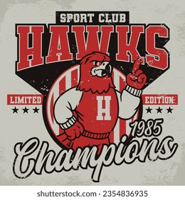 Hawks Sport Club Vintage Shirt in Retro Style