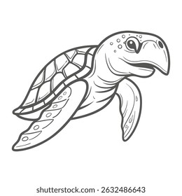 Hawksbill Sea Turtle Line Art Illustration