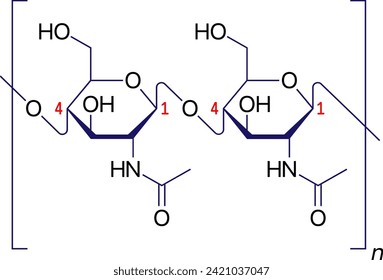 Haworth projection of the chitin molecule.Vector illustration.