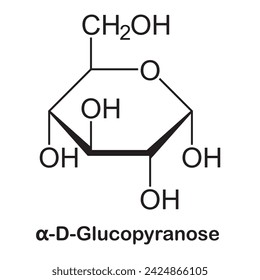 Haworth-Projektion der Strukturen für α-D-Glucopyranosen , Struktur von alpha-D-,Glucose ist ein Zucker mit der Molekülformel C6H12O6. Glukose ist insgesamt das am häufigsten vorkommende Monosaccharid