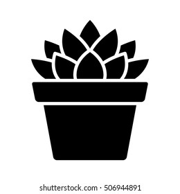 Haworthia Cooperi succulent potted plant flat vector icon for apps and websites