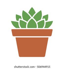 Haworthia Cooperi succulent potted plant flat vector color icon for apps and websites