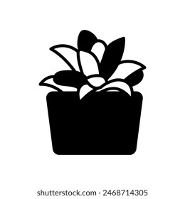 Haworth Planta Icono Aislado, Ilustración vectorial