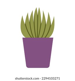 Haworthia, small succulent, cartoon style. House plants for home interior, urban jungle. Trendy modern vector illustration isolated on white, hand drawn, flat design.