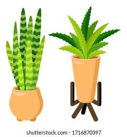 haworthia sticker set on white isolated backdrop. House plant icon for gift card, home plants store logo, bath tile, web landing page. Phone case or cloth print. Flat style stock vector illustration