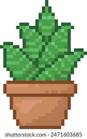 haworthia succulent vector pixel art 