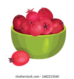 Hawthorn Berries Poured in Ceramic Bowl Vector Illustration