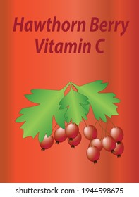 Hawthorn berry. Clustered red fruit vector illustration