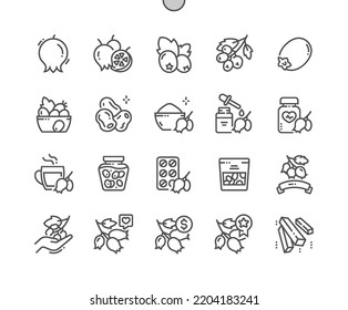 Hawthorn berry. Ripe hawberry branch with berry. Nature vegetable organic food nutrition. Pixel Perfect Vector Thin Line Icons. Simple Minimal Pictogram