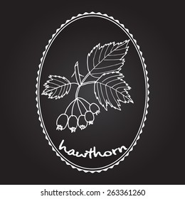 hawthorn branch