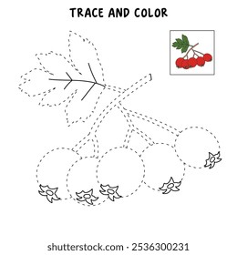 Hawthorn coloring pages for kids. Trace and color Hawthorn. Hawthorn line art isolated on white background vector. Kindergarten and preschool worksheets printable for kids. 