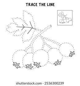 Hawthorn coloring pages for kids. Trace and color Hawthorn. Hawthorn line art isolated on white background vector. Kindergarten and preschool worksheets printable for kids. 