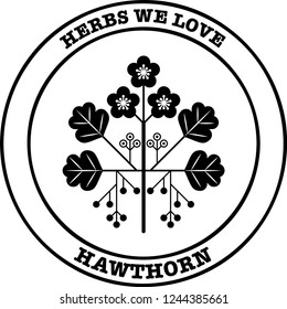 Hawthorn herb pixel perfect logo design