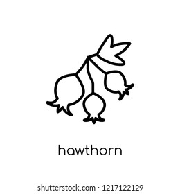 Hawthorn icon. Trendy modern flat linear vector Hawthorn icon on white background from thin line nature collection, editable outline stroke vector illustration