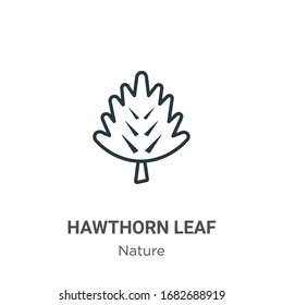 Hawthorn leaf outline vector icon. Thin line black hawthorn leaf icon, flat vector simple element illustration from editable nature concept isolated stroke on white background