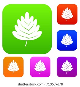 Hawthorn leaf set icon color in flat style isolated on white. Collection sings vector illustration