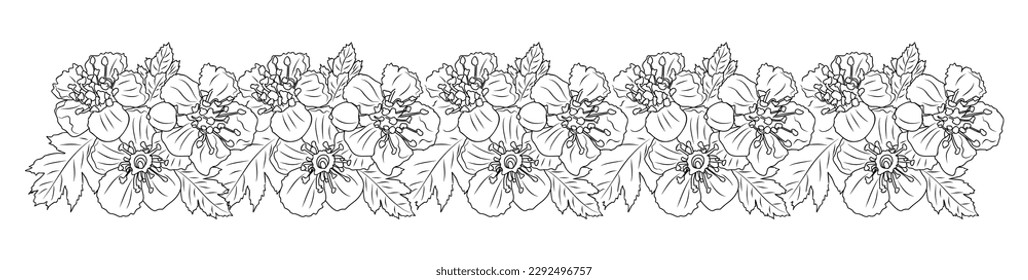 Hawthorn May birth flower flower line art border. 