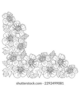 Hawthorn May birth month flower corner line art.