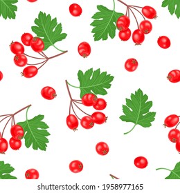 Hawthorn seamless pattern. Vector illustration of red berries and green leaves in cartoon flat style. Food background.
