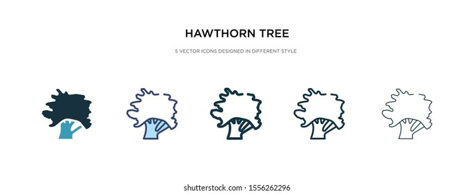 hawthorn tree icon in different style vector illustration. two colored and black hawthorn tree vector icons designed in filled, outline, line and stroke style can be used for web, mobile, ui