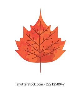 hawthron leaf icon on white background