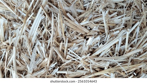 Hay background and texture. Straw, hay texture, dry grass close-up. Straw background. Insulation is natural material straw.