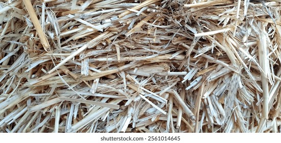 Hay background and texture. Straw, hay texture, dry grass close-up. Straw background. Insulation is natural material straw.