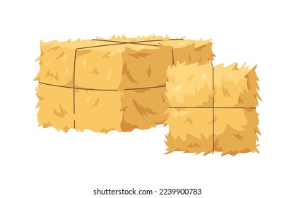 Hay bale, gold wheat stack tied with twine. Golden straw, dry glass bundle, agriculture harvest squeezed in rectangle and square shapes. Flat cartoon vector illustration isolated on white background