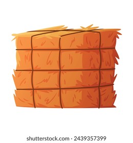 Hay Bale Tied with Rope as Dried Grass for Fodder Vector Illustration