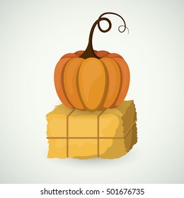 Hay and pumpkin of Thanks given design