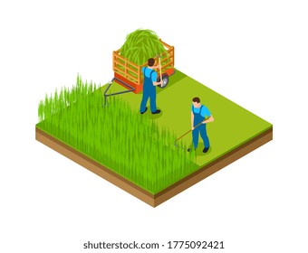 Hay Season. Men Mow Grass, Make Area For Garden. Isometric Gardening, Agriculture Or Farming Vector Illustration