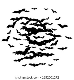 Hazardous black bats swarm isolated on white vector Halloween background. Rearmouse night creatures illustration. Silhouettes of flying bats vampire Halloween symbols on white.