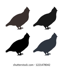 Hazel grouse silhouettes. Isolated on background. Vector. Eps 10.