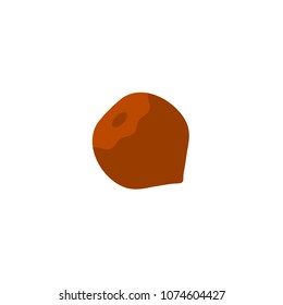 Hazel icon illustration vector symbol