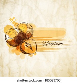 Hazel label spot - vector illustration 