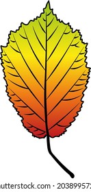 Haselblatt-Vektorfarbe Herbst