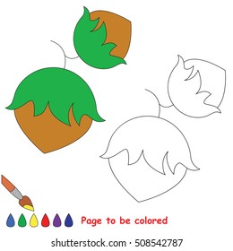 Hazel nut to be colored, the coloring book to educate preschool kids with easy kid educational gaming and primary education of simple game level.